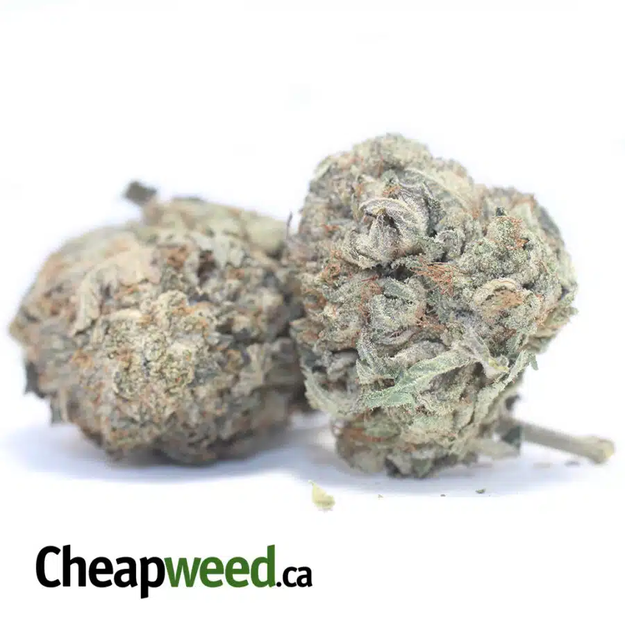 Alternative view of Pink OG AA+ Bulk Special