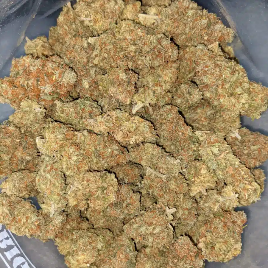 RED CONGO AA 1 I Red Congo AA+ Bulk Special