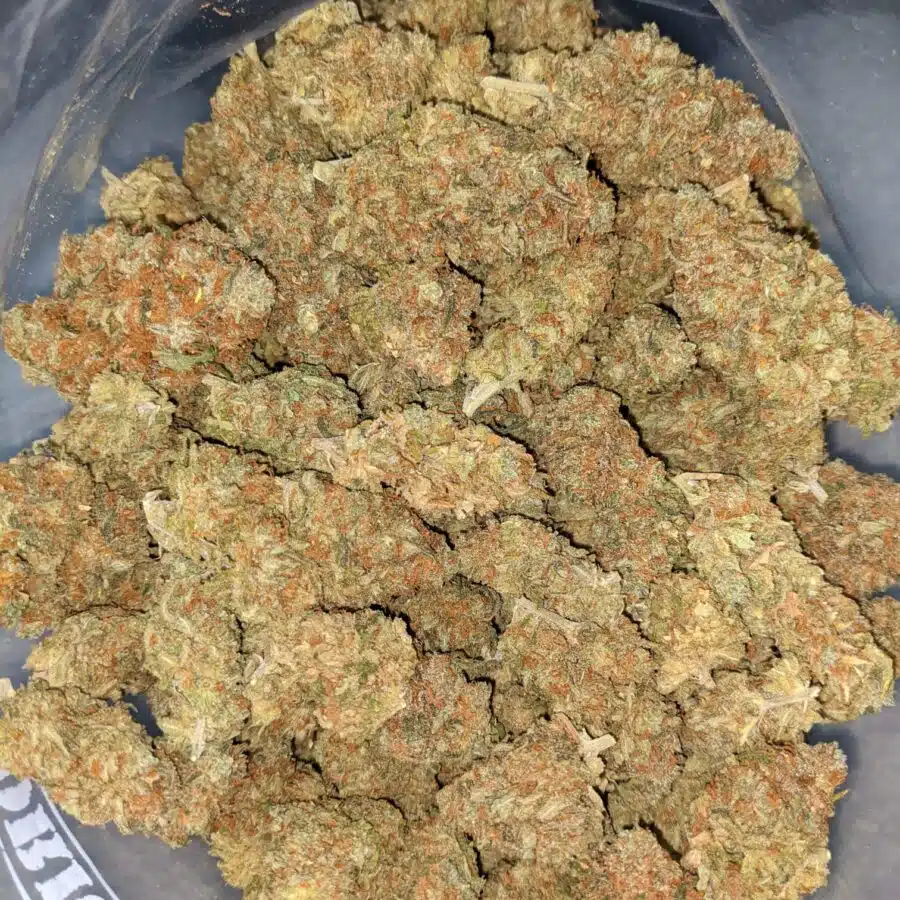 RED CONGO AA 4 I Red Congo AA+ Bulk Special