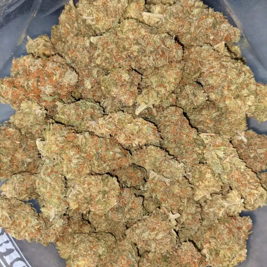 RED CONGO AA 6 I Red Congo AA+ Bulk Special