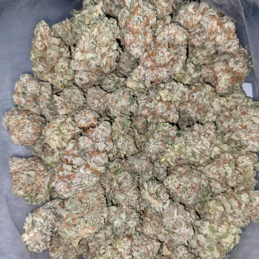 Alternative view of Stripper Split Bulk Special