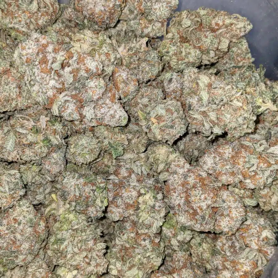STRIPPER SPLIT 3 I Stripper Split Bulk Special