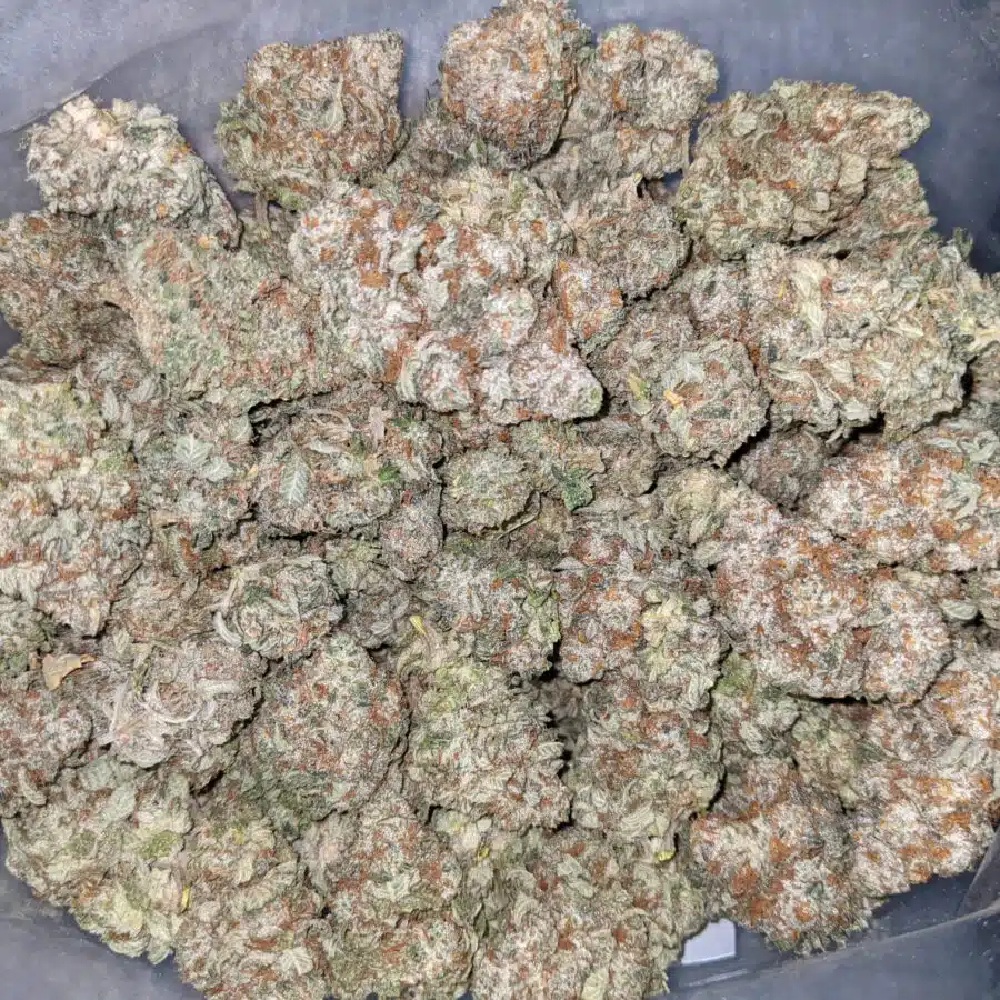 Stripper Split Bulk Special