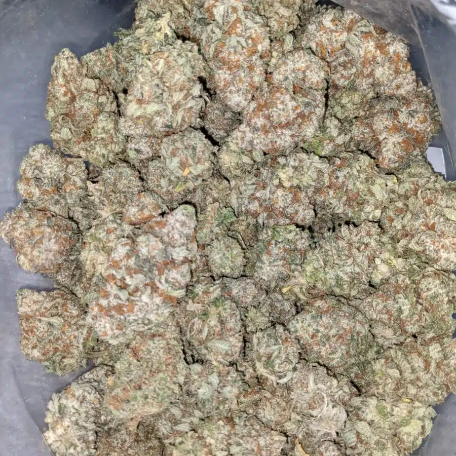 STRIPPER SPLIT 7 I Stripper Split Bulk Special