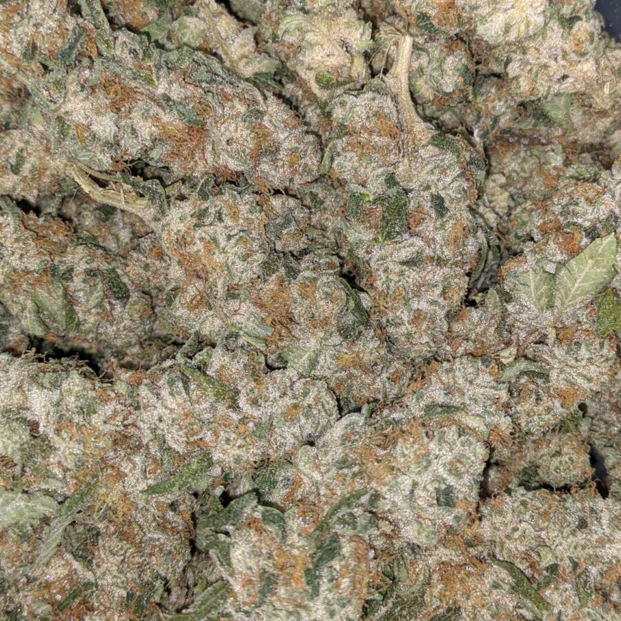 VANILLA COOKIES 1 I Vanilla Cookies 25.55% THC