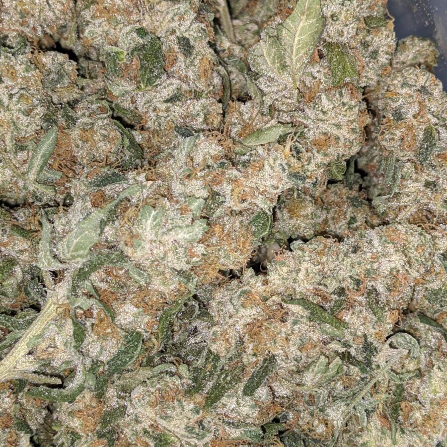 VANILLA COOKIES 2 I Vanilla Cookies 25.55% THC