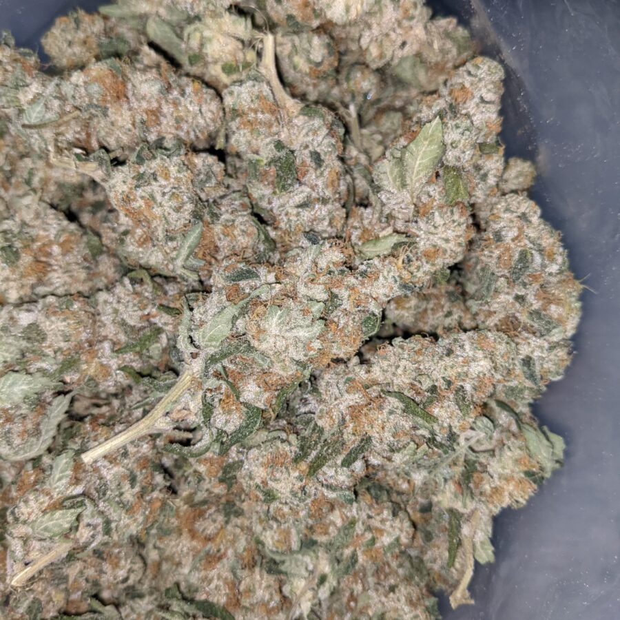 VANILLA COOKIES 3 I Vanilla Cookies 25.55% THC