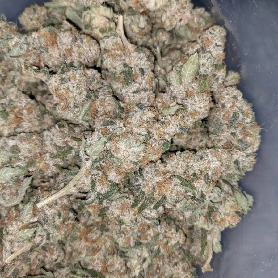 VANILLA COOKIES 3 I Vanilla Cookies 25.55% THC