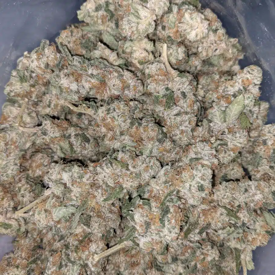 VANILLA COOKIES 4 I Vanilla Cookies 25.55% THC