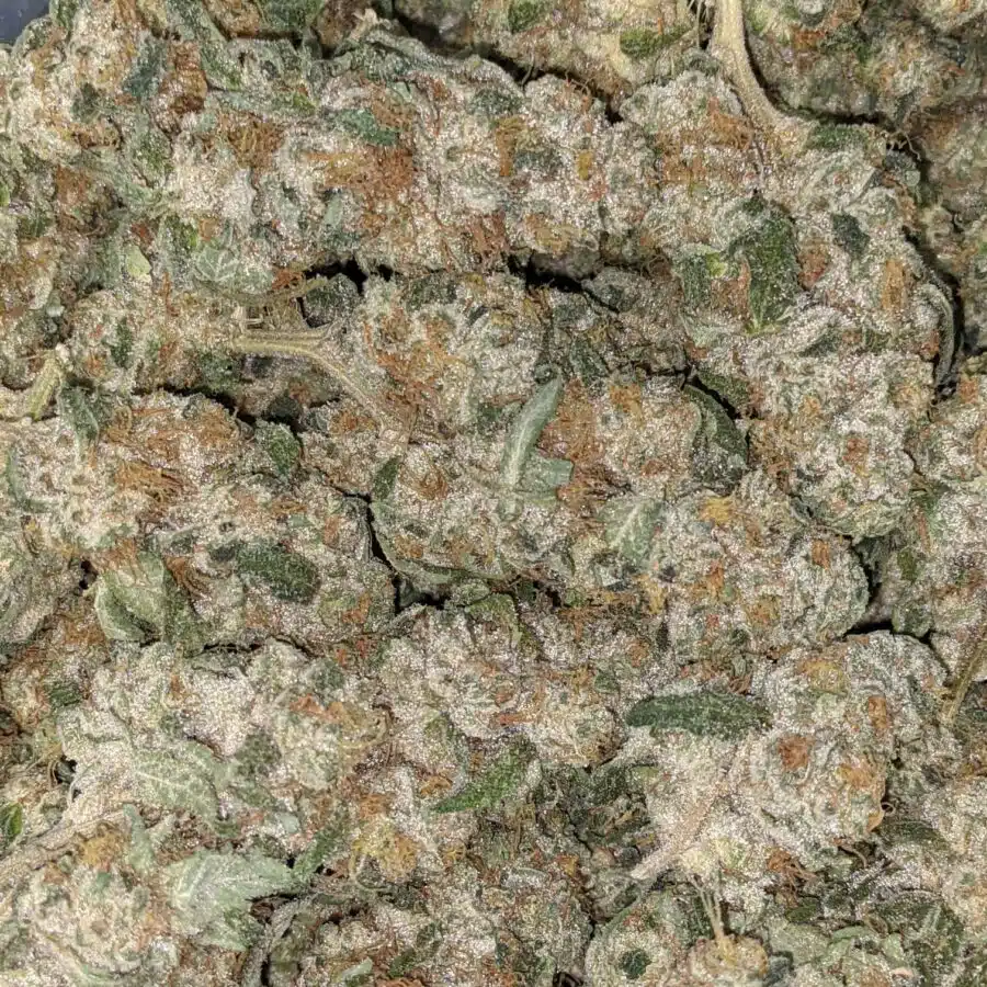VANILLA COOKIES 5 I Vanilla Cookies 25.55% THC