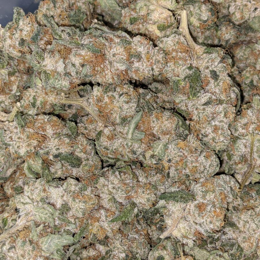 VANILLA COOKIES 6 I Vanilla Cookies 25.55% THC