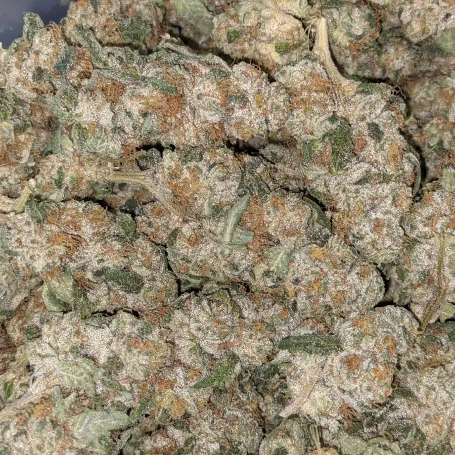 VANILLA COOKIES 6 I Vanilla Cookies 25.55% THC