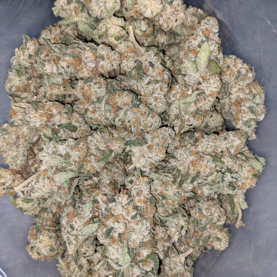 VANILLA COOKIES 8 I Vanilla Cookies 25.55% THC