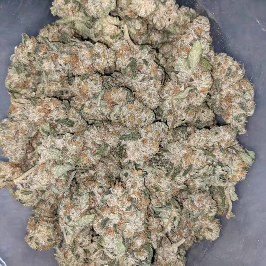 VANILLA COOKIES 8 I Vanilla Cookies 25.55% THC