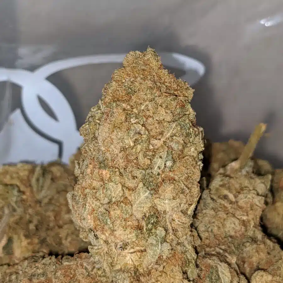 WHITE BUDDHA AA 1 I White Buddha AA+