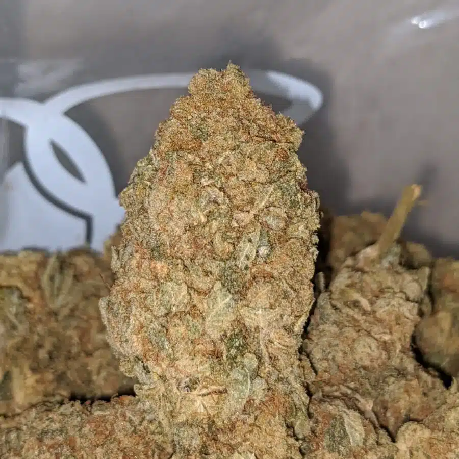 WHITE BUDDHA AA 2 I White Buddha AA+