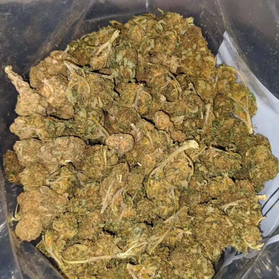 AA+ Bulk Weed