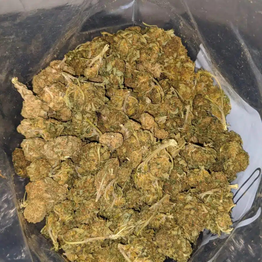aa bulk weed 4 I AA+ Bulk Weed