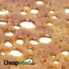 Bruce Banner Shatter
