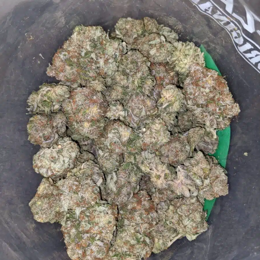 chemo aaa 2 I Chemo AAA
