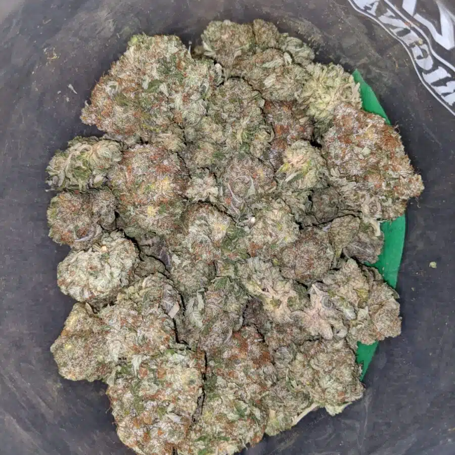 chemo aaa 3 I Chemo AAA
