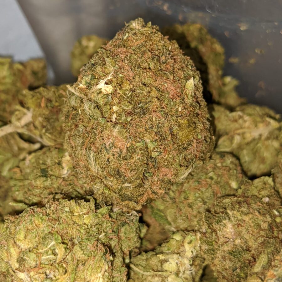green kush bulk special 2 I Green Kush Bulk Special