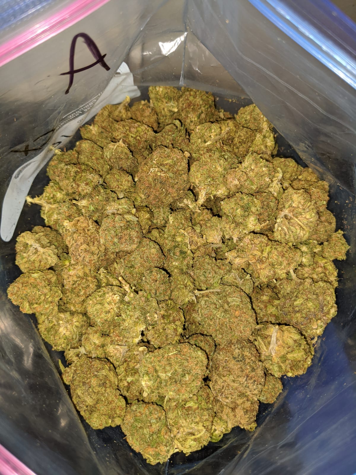 Green Kush Bulk Special - Image 6