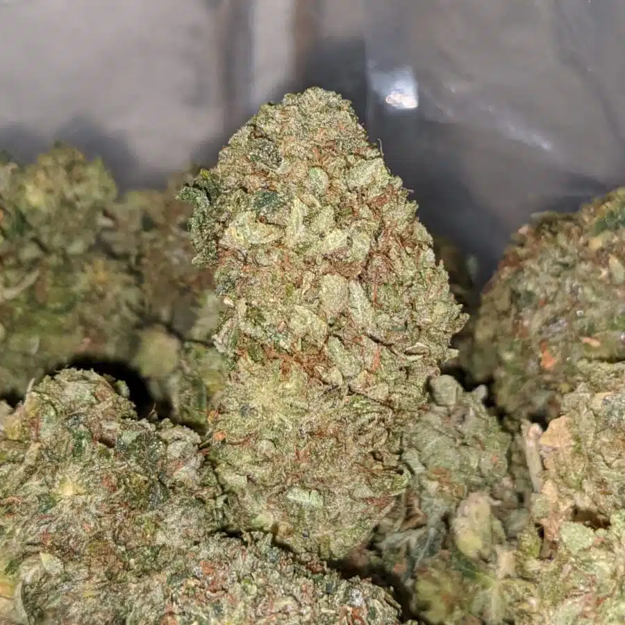 green widow dod 1 I Green Widow - *Deal of the Day*