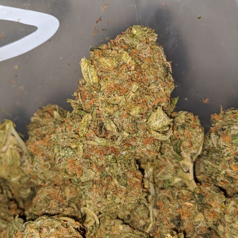 la confidential bulk special 1 I LA Confidential Bulk Special