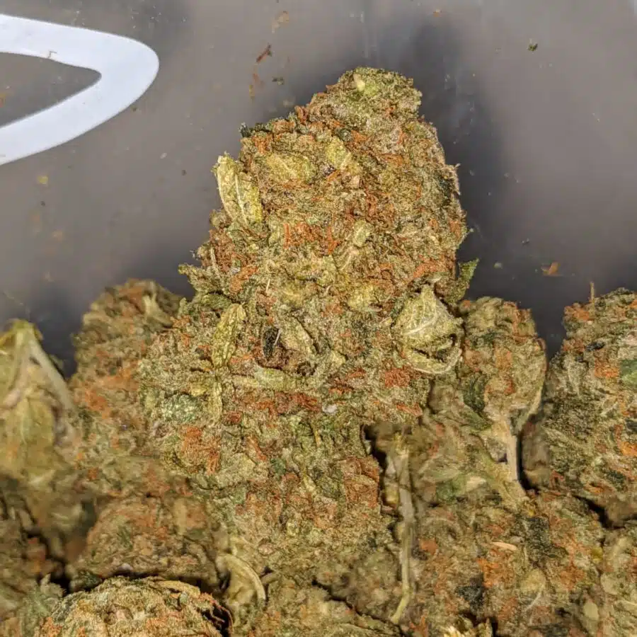 la confidential bulk special 1 I LA Confidential Bulk Special