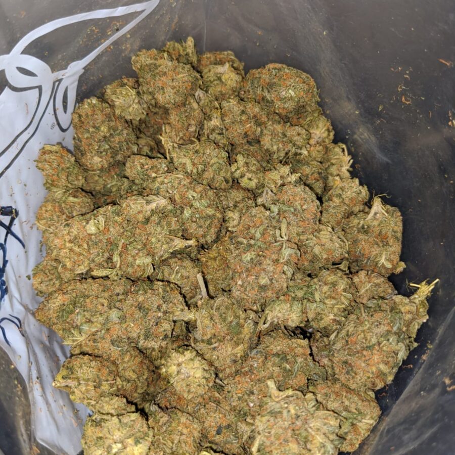la confidential bulk special 3 I LA Confidential Bulk Special