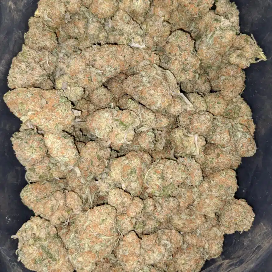 mango cookies 1 1 I $65 Oz - Mango Cookies