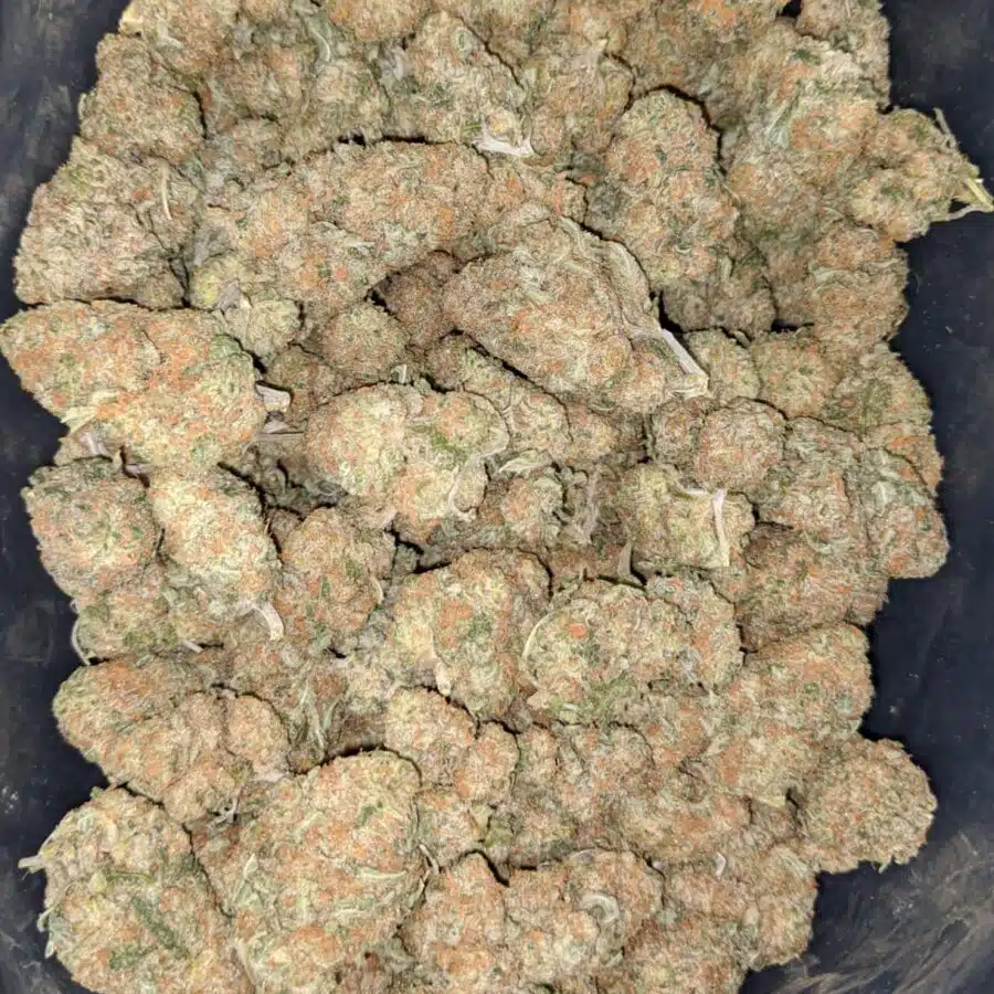 mango cookies 2 1 I $65 Oz - Mango Cookies