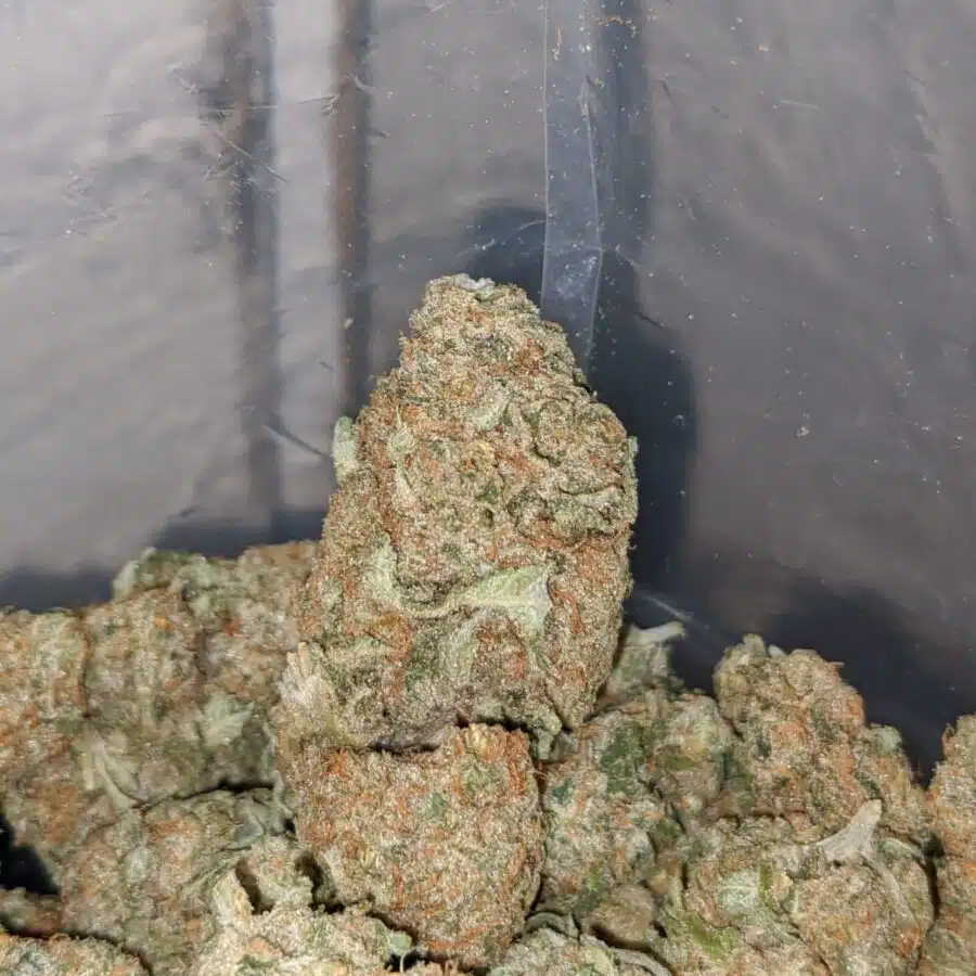 mango cookies 3 1 I $65 Oz - Mango Cookies