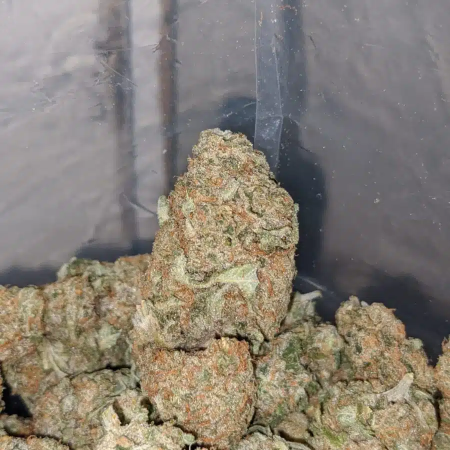 mango cookies 4 1 I $65 Oz - Mango Cookies