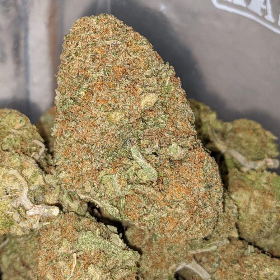 romulan dod 2 1 I Romulan - *Deal of the Day*