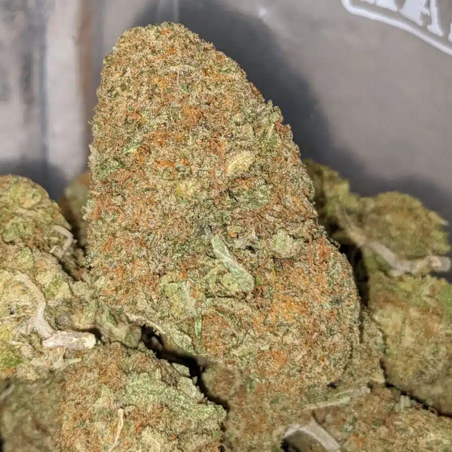 romulan dod 2 1 I Romulan - *Deal of the Day*
