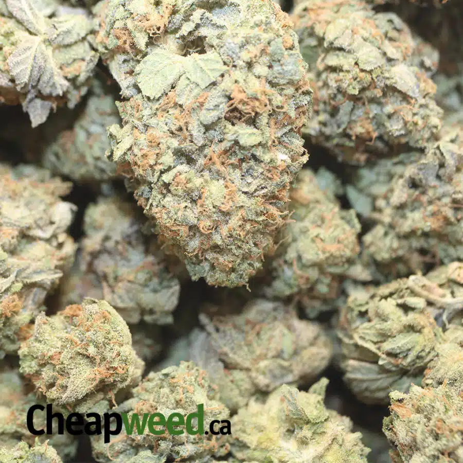 59 OZ OG WRECK 1 I $139 Oz - OG Wreck