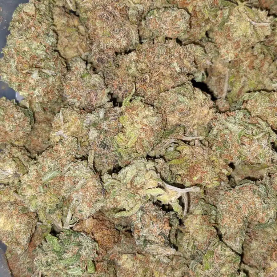 BANANA AND CREME 1 I $59 Oz - Banana Kush