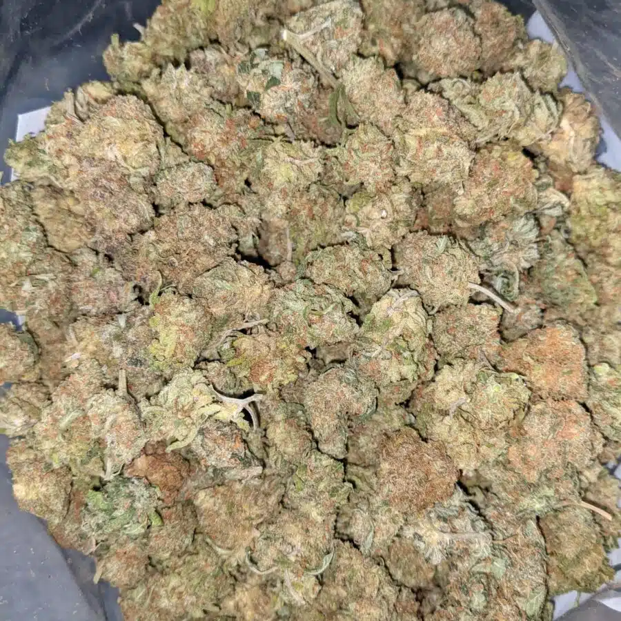 BANANA AND CREME 2 I $59 Oz - Banana Kush