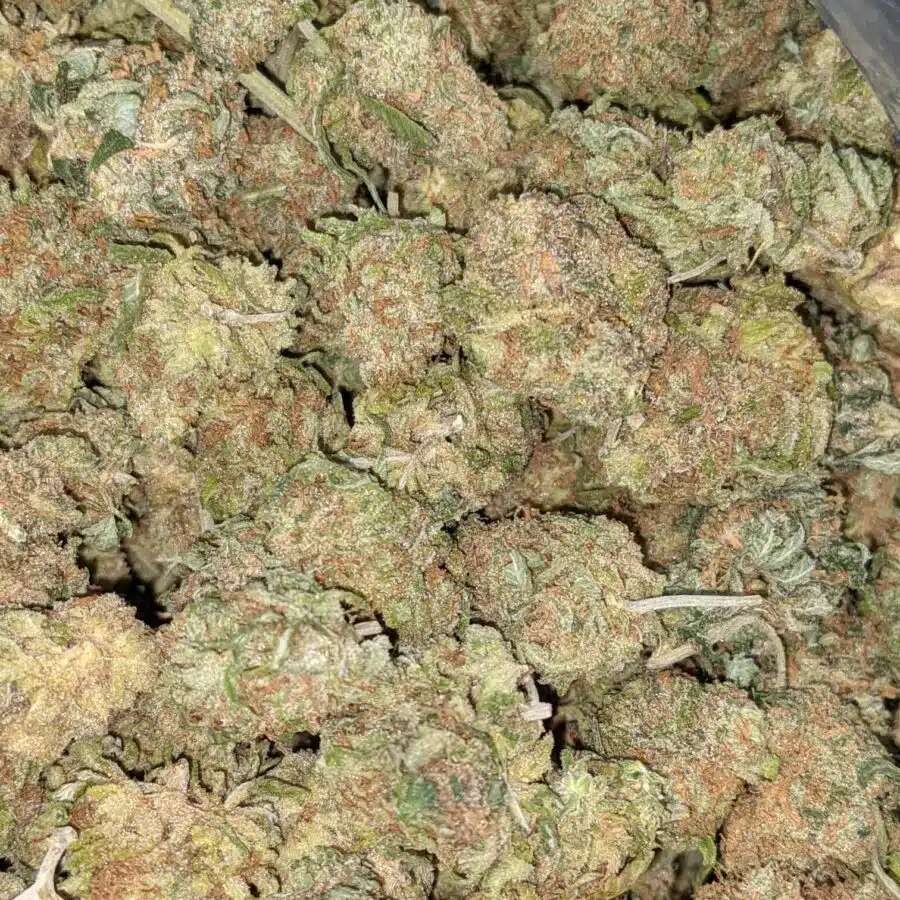 BANANA AND CREME 3 I $59 Oz - Banana Kush