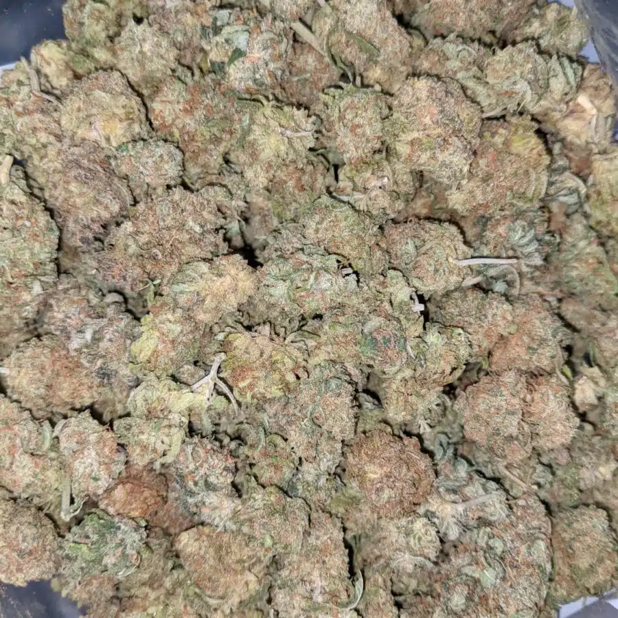 BANANA AND CREME 4 I $59 Oz - Banana Kush