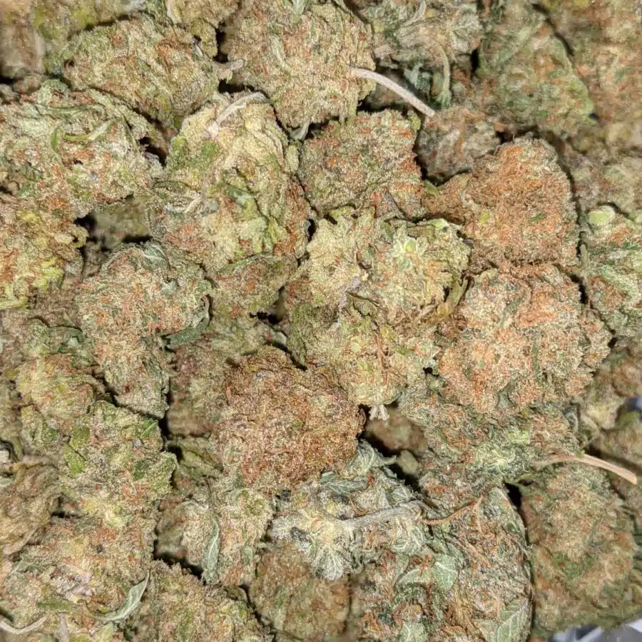 BANANA AND CREME 5 I $59 Oz - Banana Kush