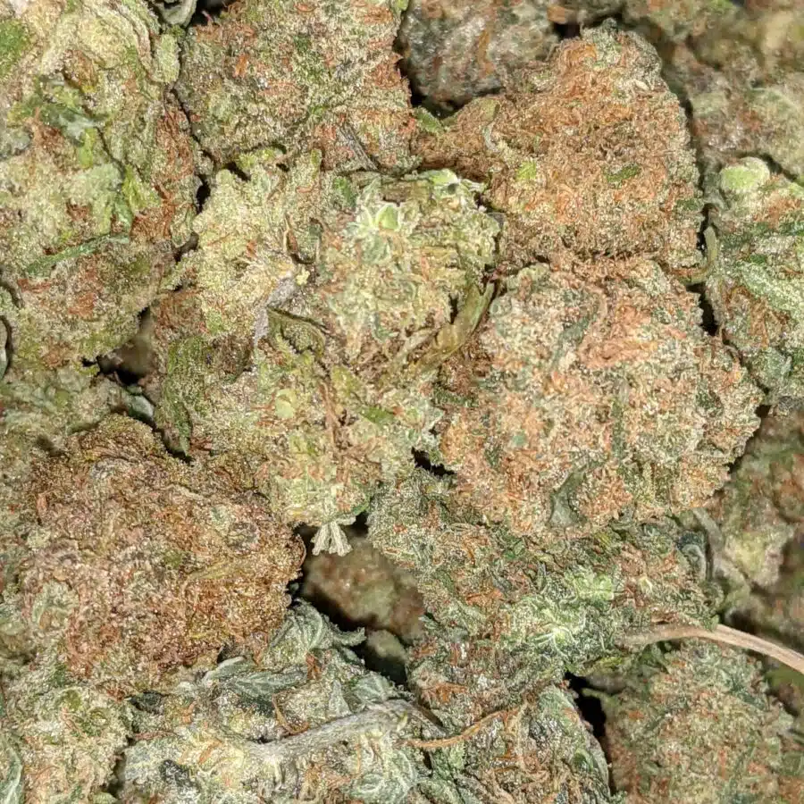 BANANA AND CREME 6 I $59 Oz - Banana Kush