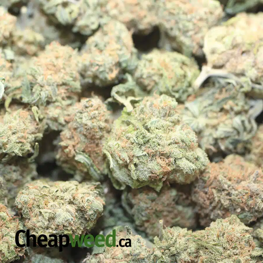 BANANA N CREAM 1 I $59 Oz - Banana Kush