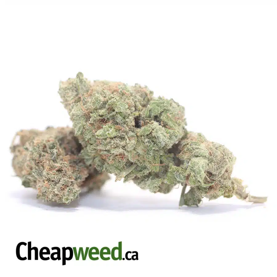 BANANA N CREAM 3 I $59 Oz - Banana Kush