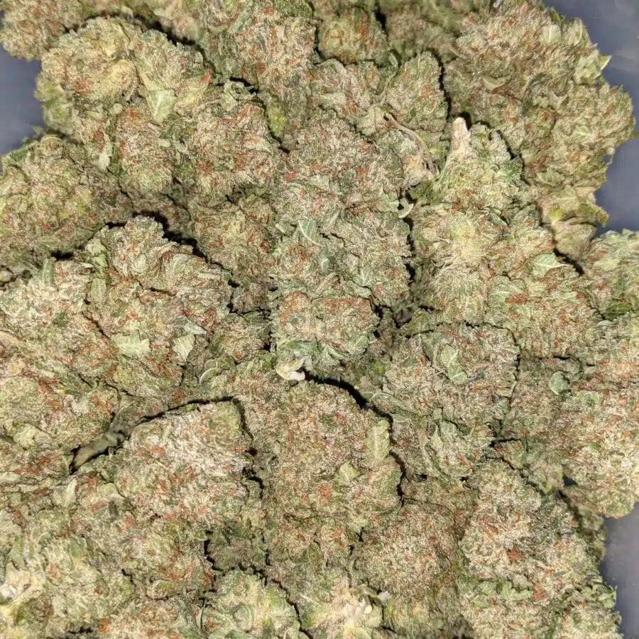 CHEMO KUSH 2 I Chemo Kush - *Deal of the Day*
