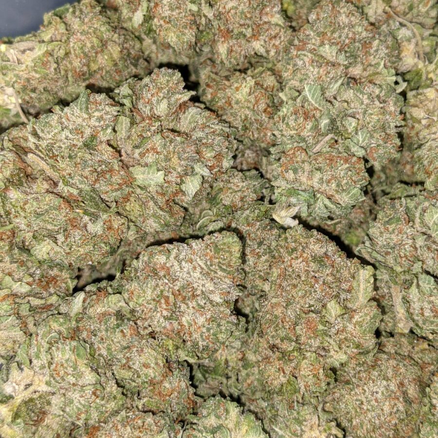 CHEMO KUSH 4 I Chemo Kush - *Deal of the Day*