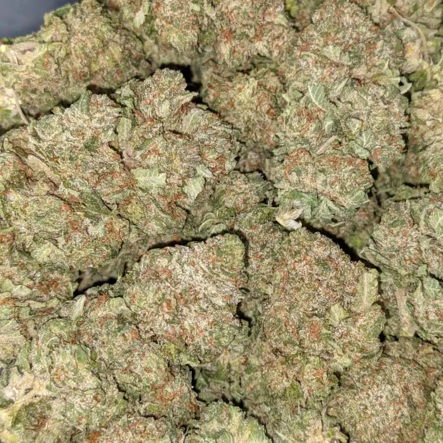 CHEMO KUSH 4 I Chemo Kush - *Deal of the Day*