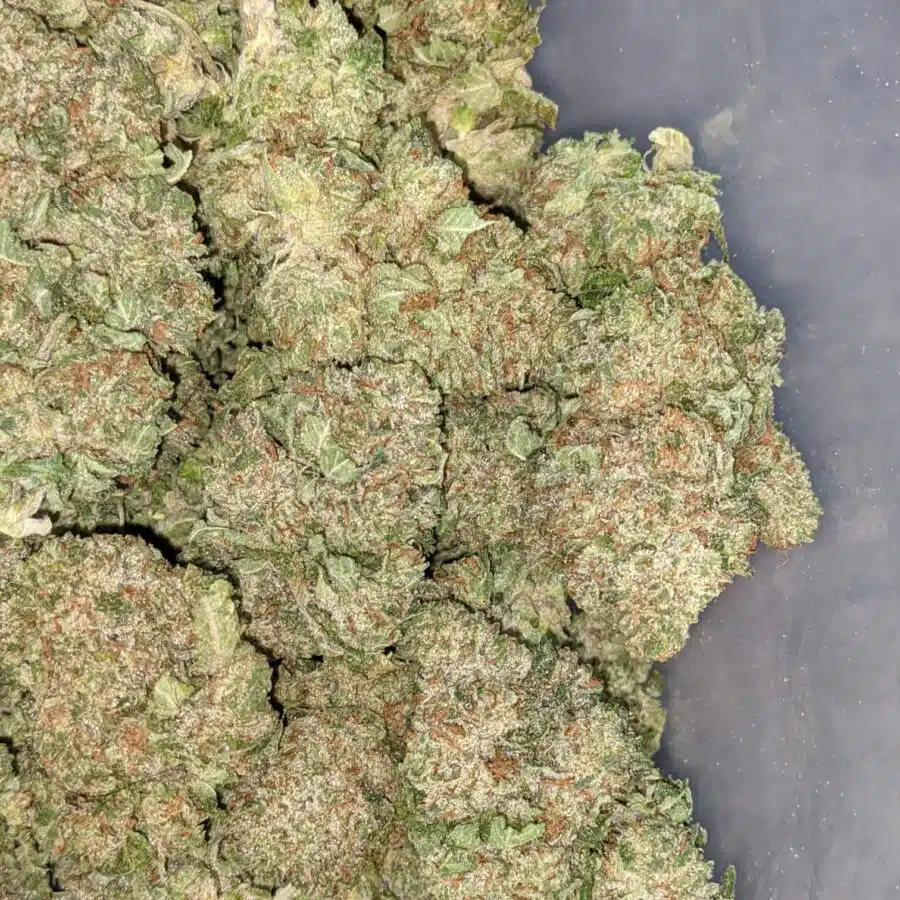CHEMO KUSH 6 I Chemo Kush - *Deal of the Day*